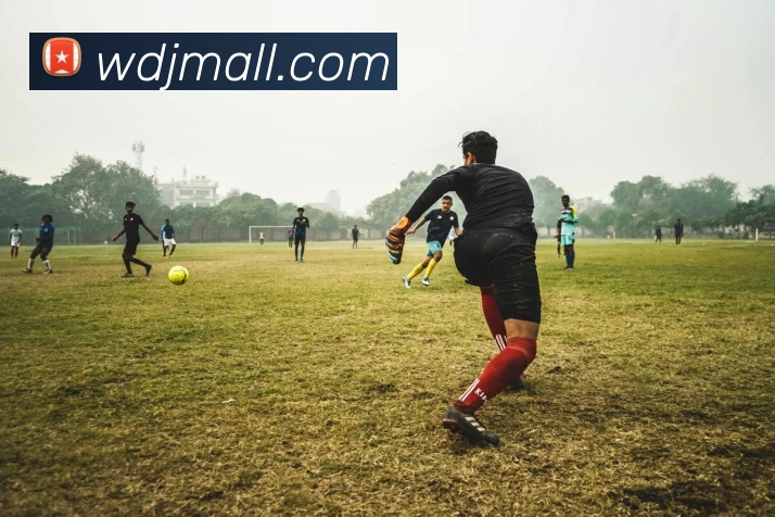 多媒体互动体验